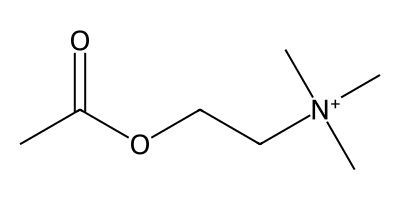Acetylcholine molecular structure